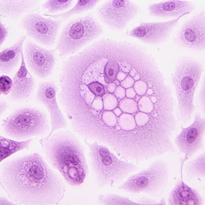 Medical Publications
